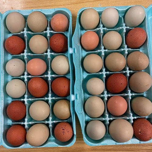 Cage-free Eggs