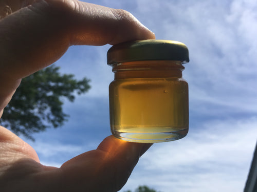 Melipona honey (1.5 oz, 45 mL)